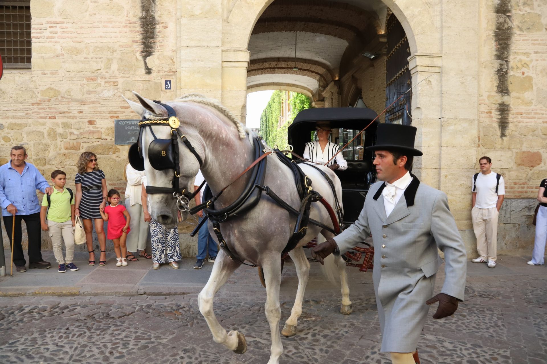 En imágenes, el X Concurso Internacional de Atalaje de Tradición en Córdoba