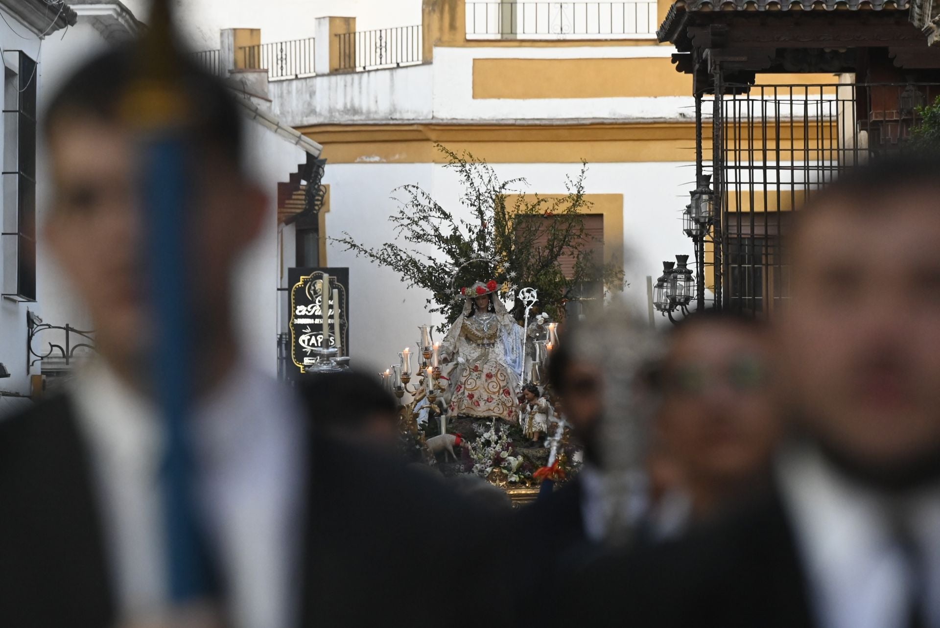 La procesión triunfal de la Divina Pastora desde la Catedral de Córdoba, en imágenes