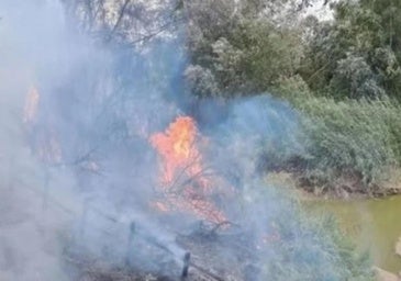 Investigado en Palma del Río por provocar tres incendios forestales en agosto