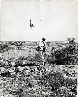 El espíritu de Félix Rodríguez de la Fuente vuela libre en la región