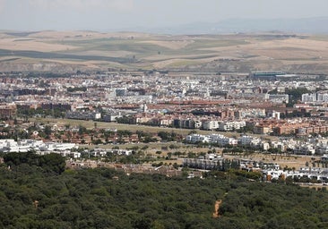 Las primeras obras de la nueva zona residencial para El Patriarca llegarán a finales de 2025