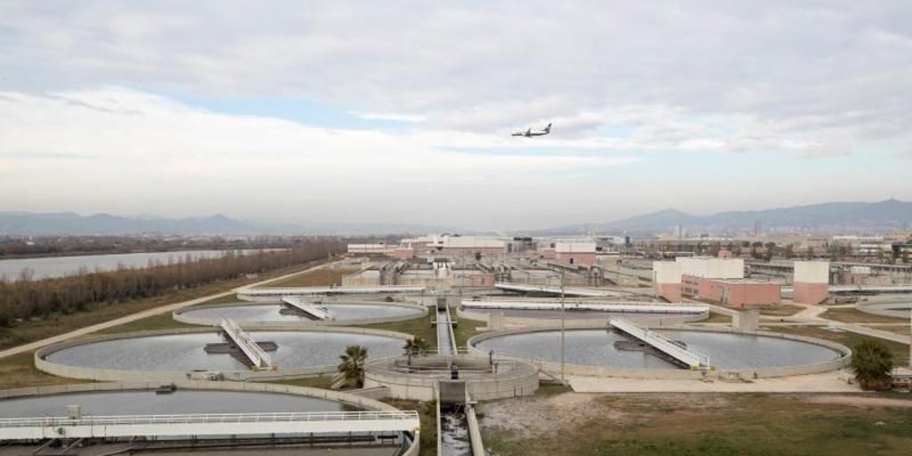 Detectan el virus de la polio en las aguas residuales de dos depuradoras de Barcelona