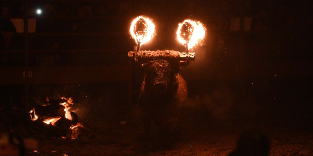 El TSJ levanta la medida cautelarísima que impedía celebrar el Toro Jubilo de Medinaceli (Soria)