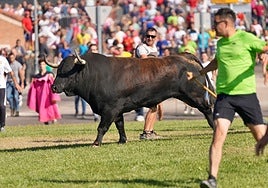 'Saltavallas' protagoniza un Toro de la Vega a golpe de dron