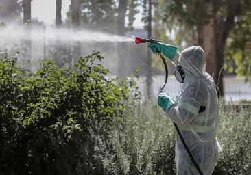 Salud confirma el primer caso de virus del Nilo en humanos en Andalucía este año