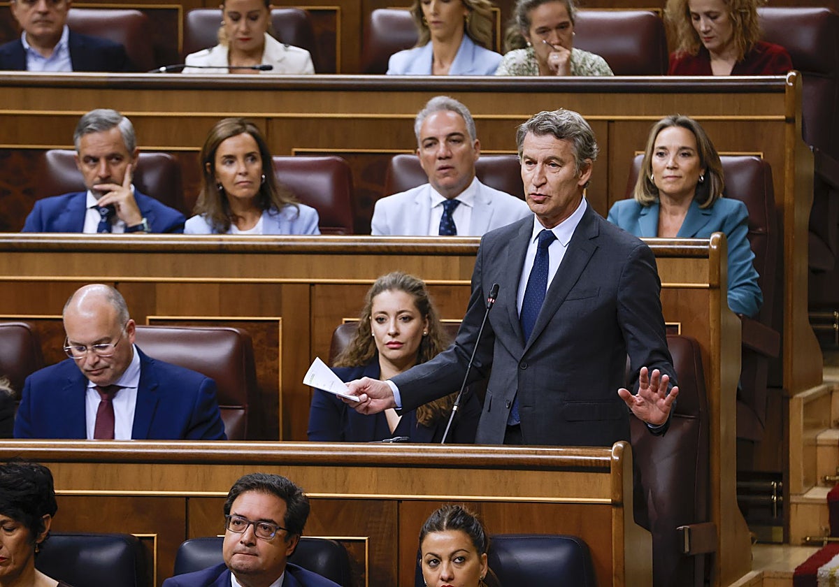 El presidente del PP, Alberto Núñez Feijóo, en la sesión de control al Gobierno