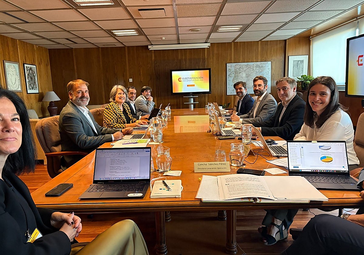 La consejera de Desarrollo Sostenible, Mercedes Gómez, se ha reunido este miércoles en Madrid con el secretario de Estado de Energía, Joan Groizard, y representantes de Red Eléctrica