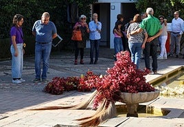 Festival Flora Córdoba 2025: fechas, participantes y todas las novedades