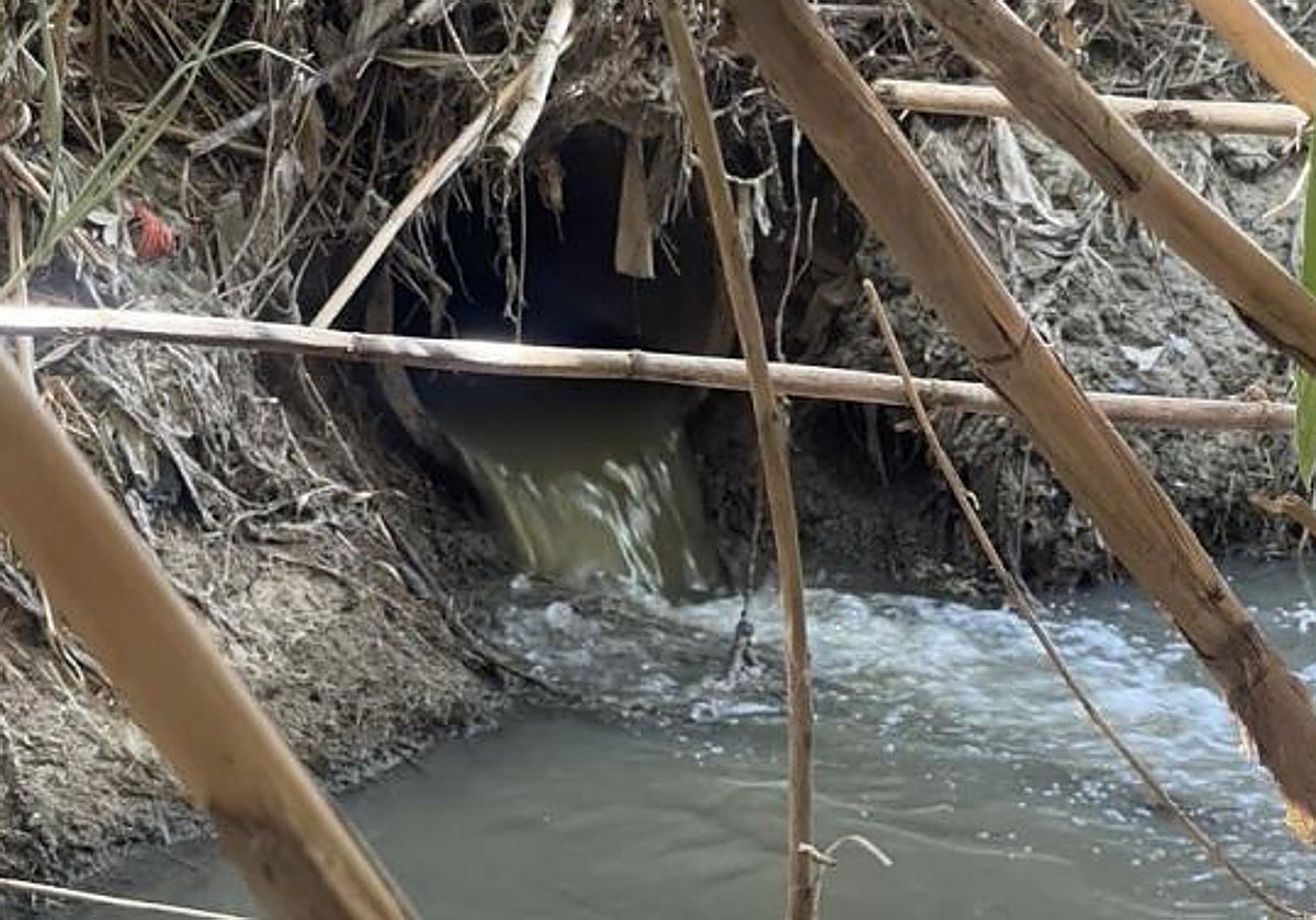 Lugar del vertido de aguas residuales al arroyo Boadilla