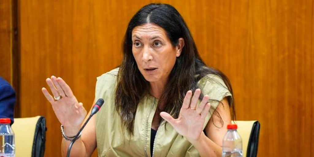 La Junta defiende que Andalucía «bate récord» en dependencia y oposición critica que «siguen muriendo sin recibir ayuda»