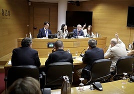 La comisión sobre la dana en las Cortes Valencianas se reanudará con técnicos y sin fechas para víctimas o políticos
