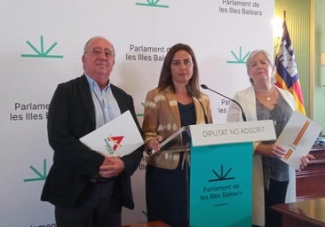 Ex diputados acusan a Vox de desviar fondos al aparato nacional y urdir un adelanto electoral para «dinamitar» la legislatura de Prohens