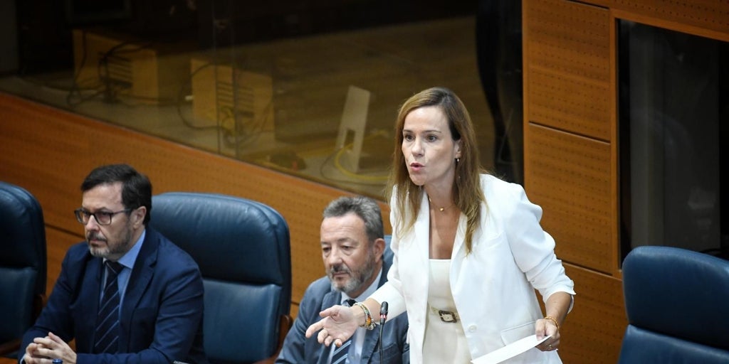 La Asamblea de Madrid tumba la propuesta de Vox para prohibir el velo islámico en escuelas y espacios públicos