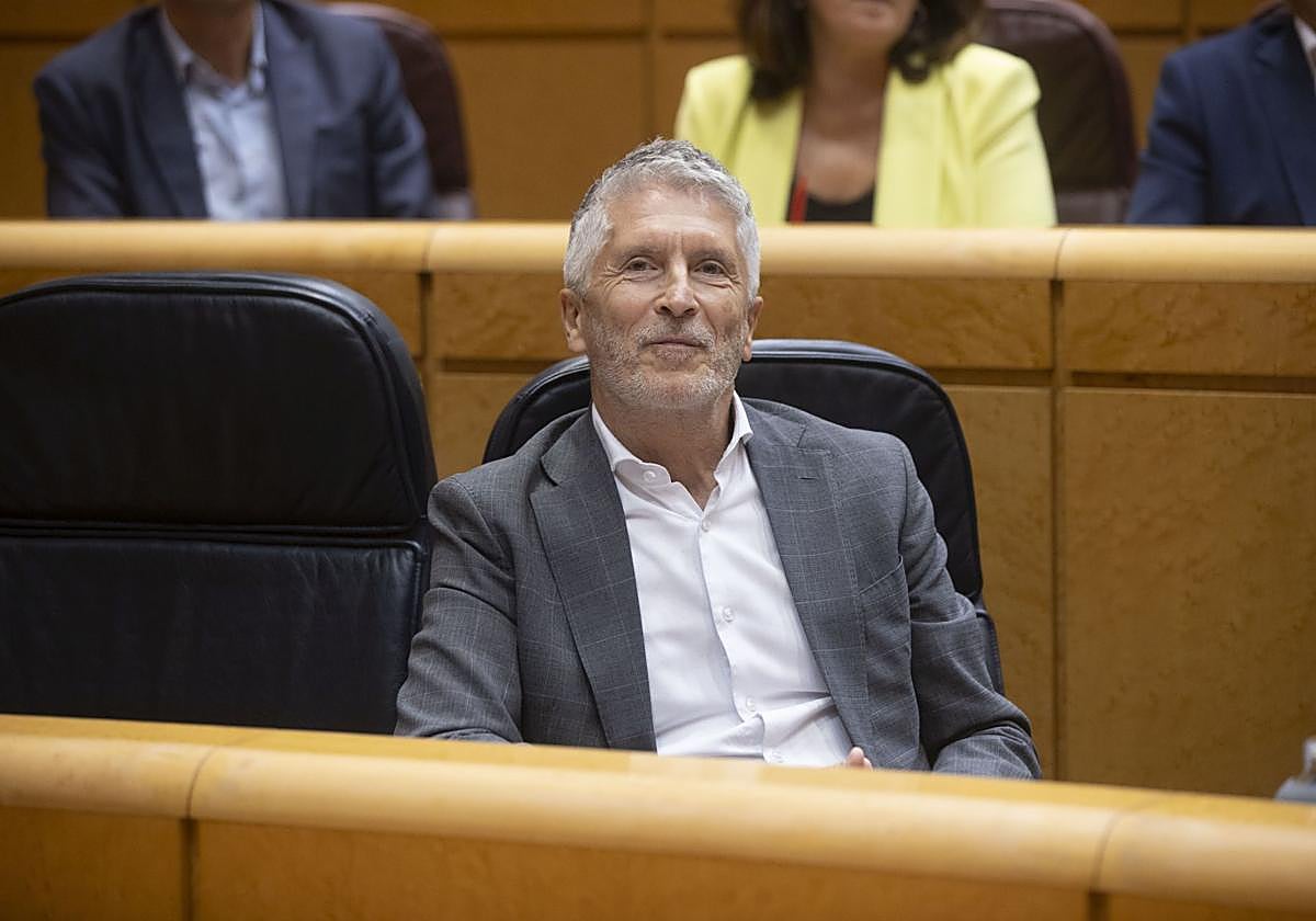 El ministro del Interior, Fernando Grande-Marlaska, en el Senado