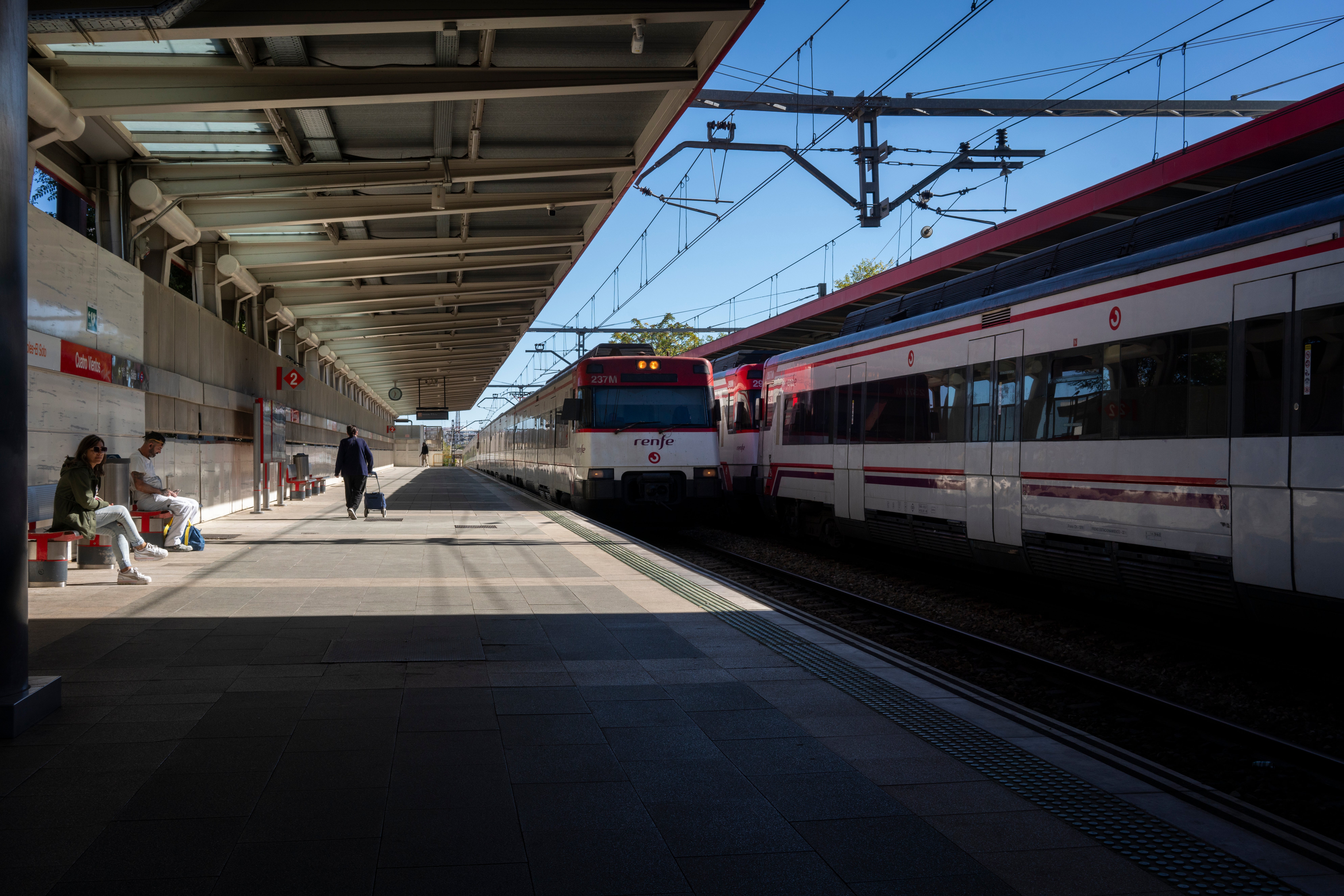 El atropello de un tren a una vaca, que dio a luz en el impacto, deriva en el hallazgo de un cadáver en Gijón