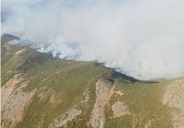 Un incendio forestal obliga a desalojar la localidad de Tonin (León)