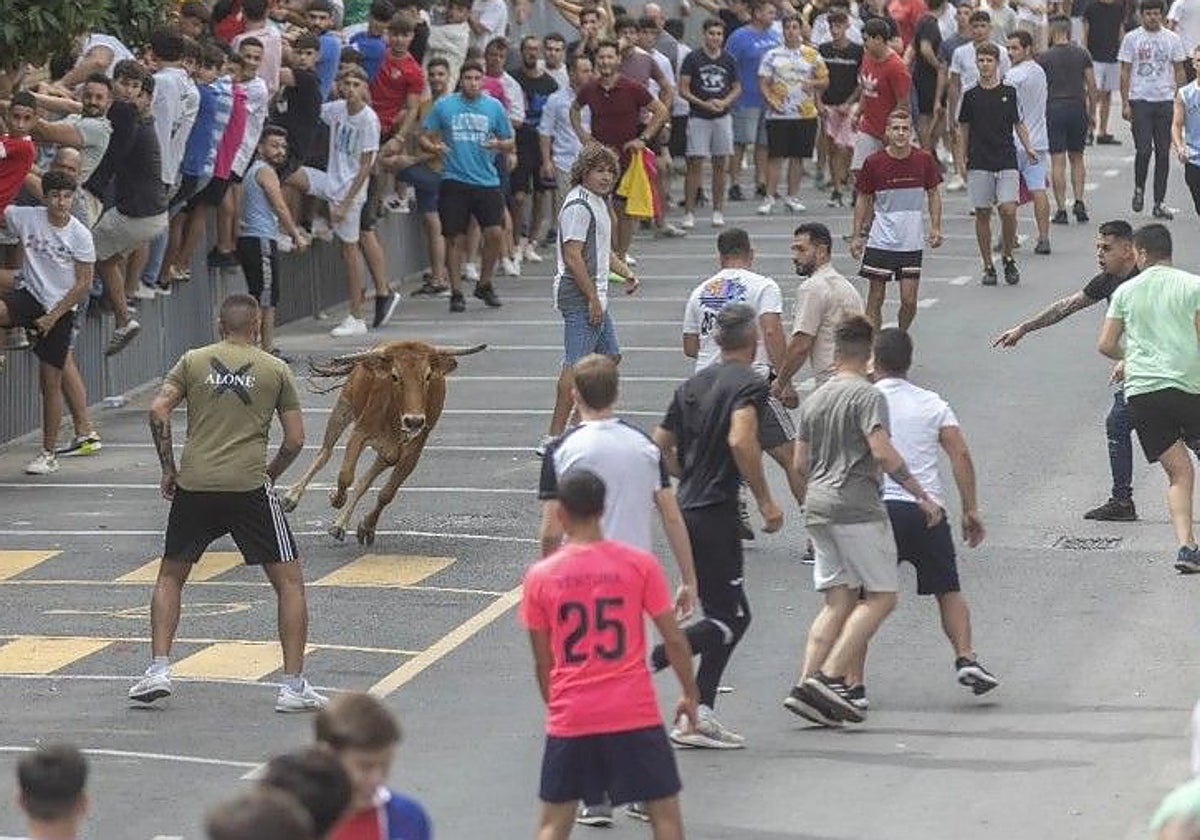 Dónde ir de fiestas este sábado 20 de septiembre en la provincia de Toledo