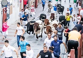 Guadalajara cierra sus Ferias con un «encierro histórico» por las calles del casco y con una sola incidencia grave