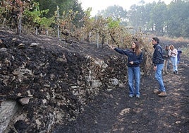 Estabilizado el incendio de Pantón y Sober (Lugo)
