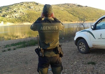 Los agentes medioambientales critican la «mala» gestión del incendio de Peñalba de la Sierra (Guadalajara)