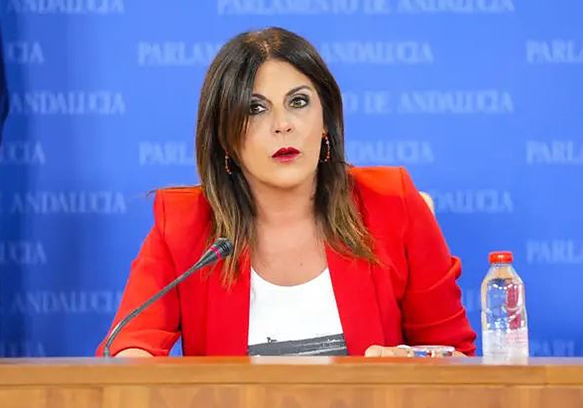 El PSOE-A critica que Moreno lance «anuncios electorales» de bajadas de ...