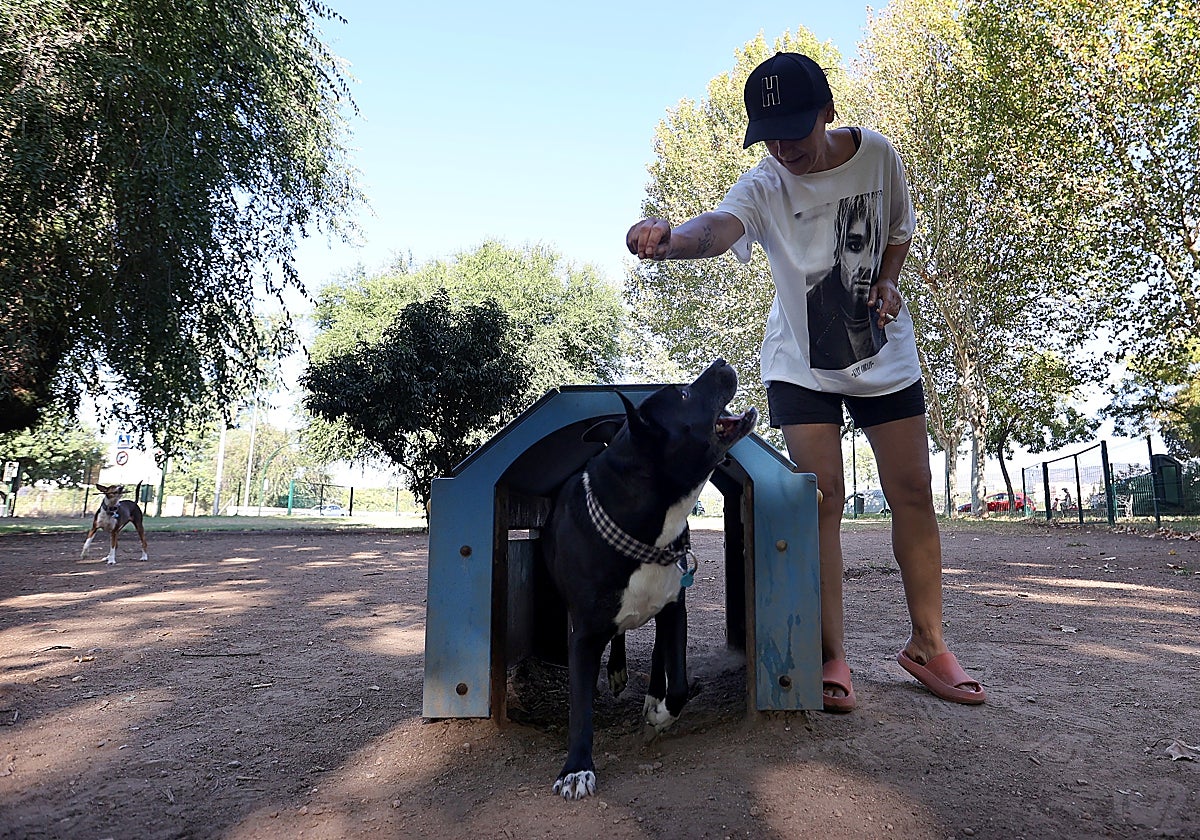 Encuesta ABC: ¿Qué te parece la propuesta del Gobierno andaluz de bajar los impuestos a los dueños de nuevas mascotas?