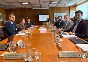 As Pontes tendrá su conexión eléctrica y Altri se queda fuera