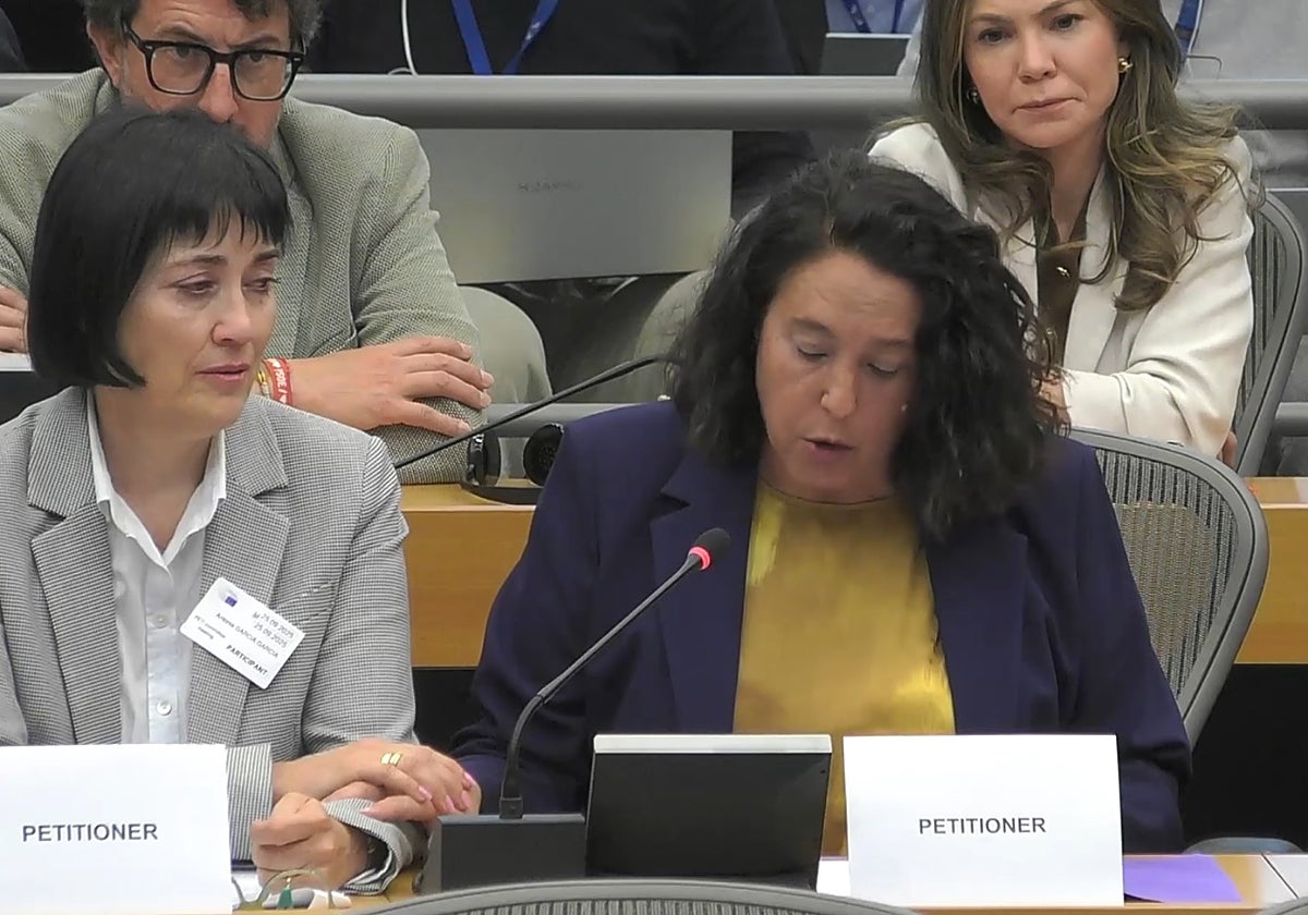 Imagen de Mariló Gradolí en su comparecencia en la Comisión Europea