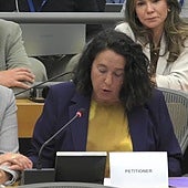 La Eurocámara y las víctimas reclaman una investigación que la Comisión rechaza