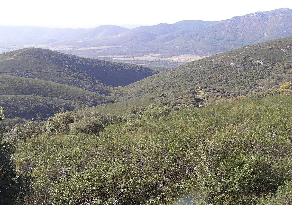 Paisaje del Parque Nacional de Cabañeros. Archivo