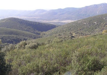 La Eurocámara visitará en febrero el Parque Nacional de Cabañeros para estudiar los efectos de la prohibición de la caza