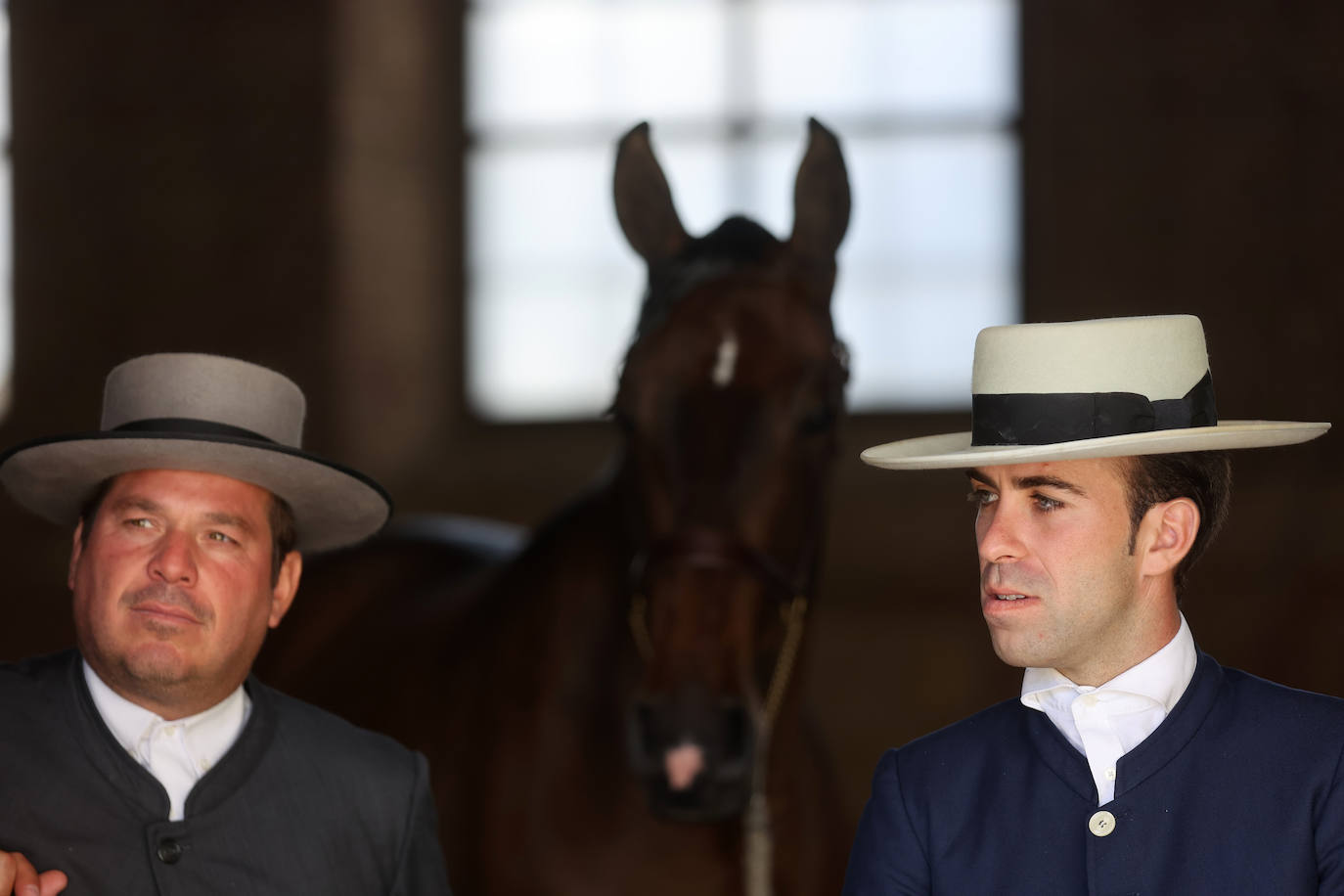 El Concurso Morfológico de caballos &#039;Ciudad de Córdoba&#039;, en imágenes