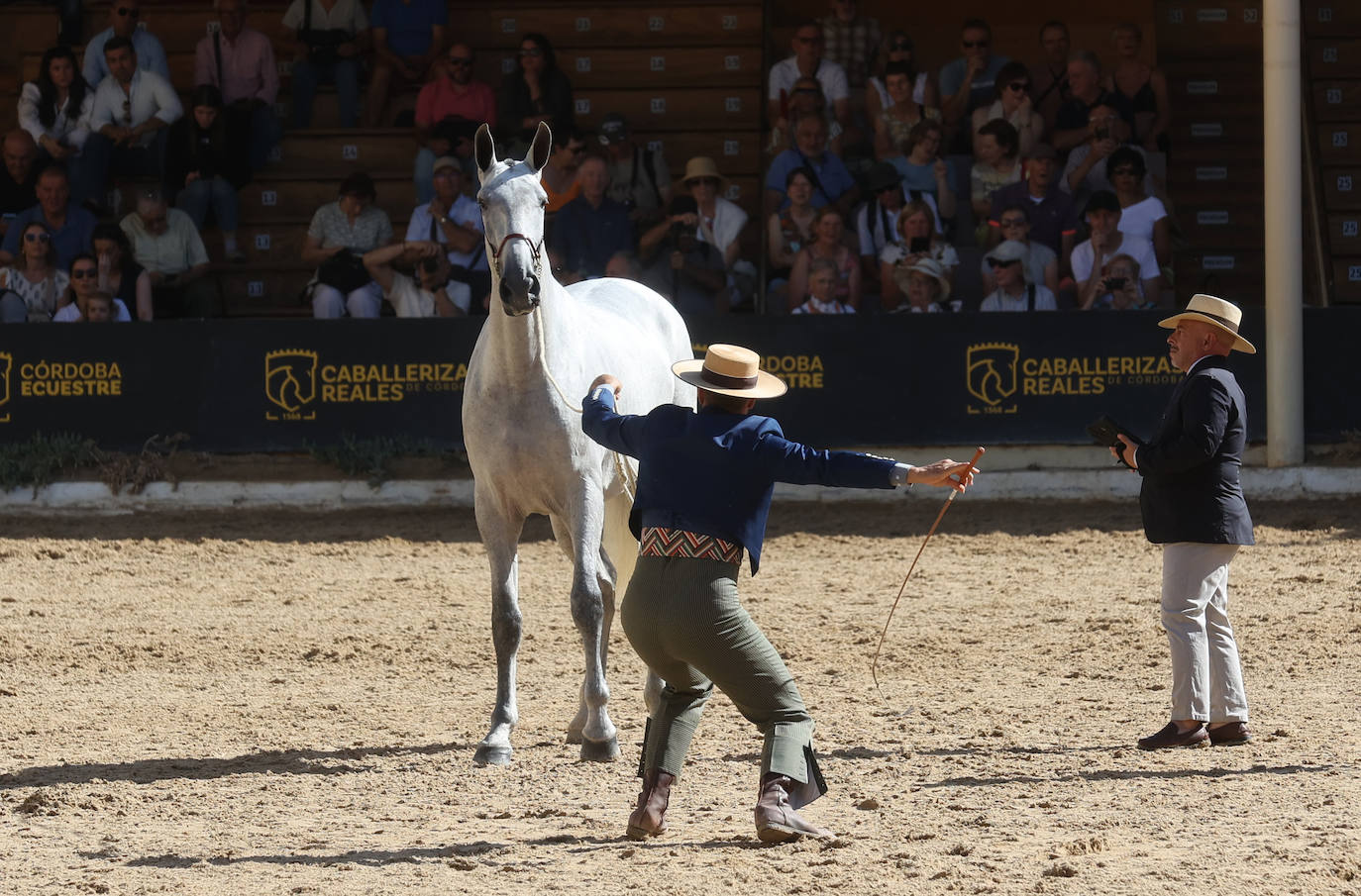 El Concurso Morfológico de caballos &#039;Ciudad de Córdoba&#039;, en imágenes