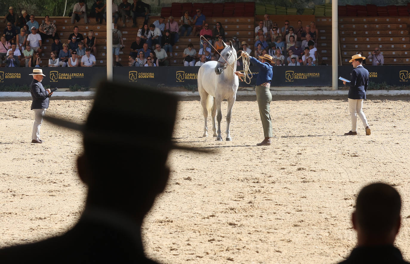 El Concurso Morfológico de caballos &#039;Ciudad de Córdoba&#039;, en imágenes