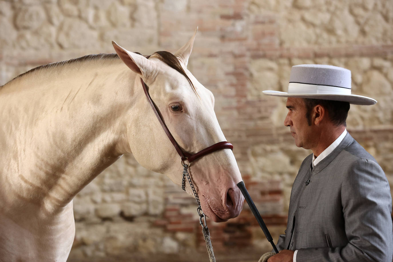 El Concurso Morfológico de caballos &#039;Ciudad de Córdoba&#039;, en imágenes