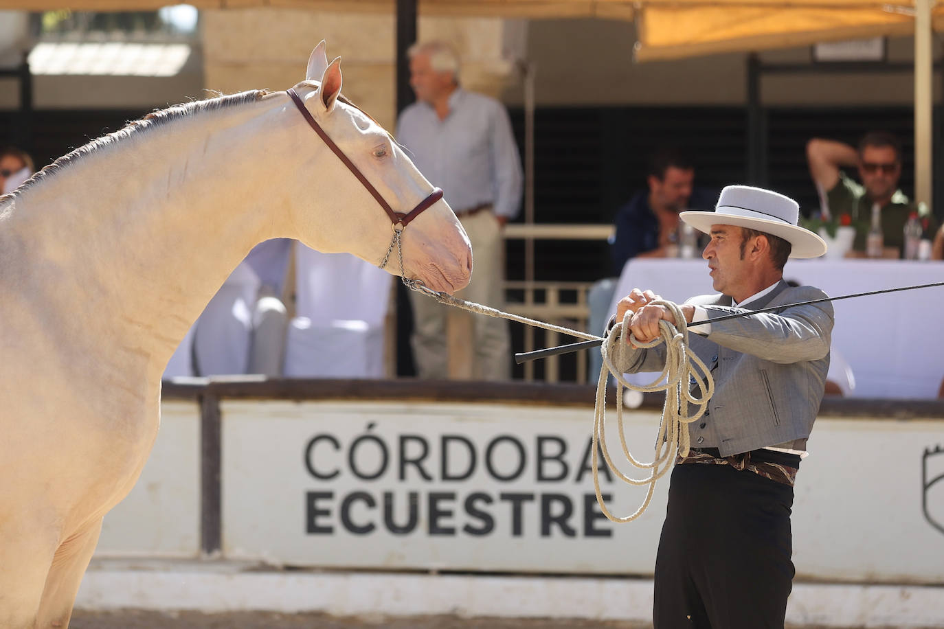 El Concurso Morfológico de caballos &#039;Ciudad de Córdoba&#039;, en imágenes