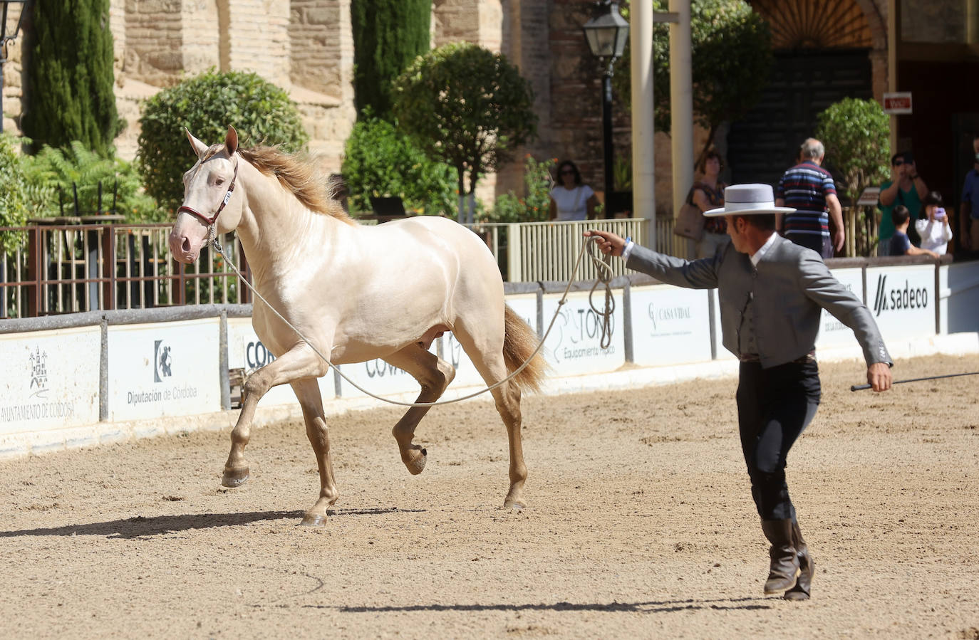 El Concurso Morfológico de caballos &#039;Ciudad de Córdoba&#039;, en imágenes