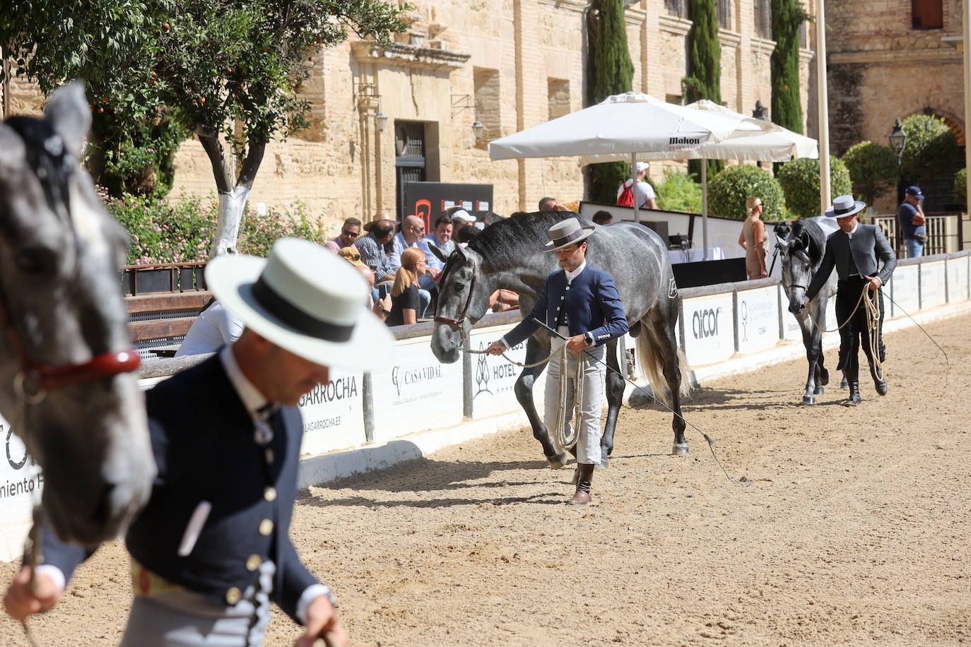 El Concurso Morfológico de caballos &#039;Ciudad de Córdoba&#039;, en imágenes