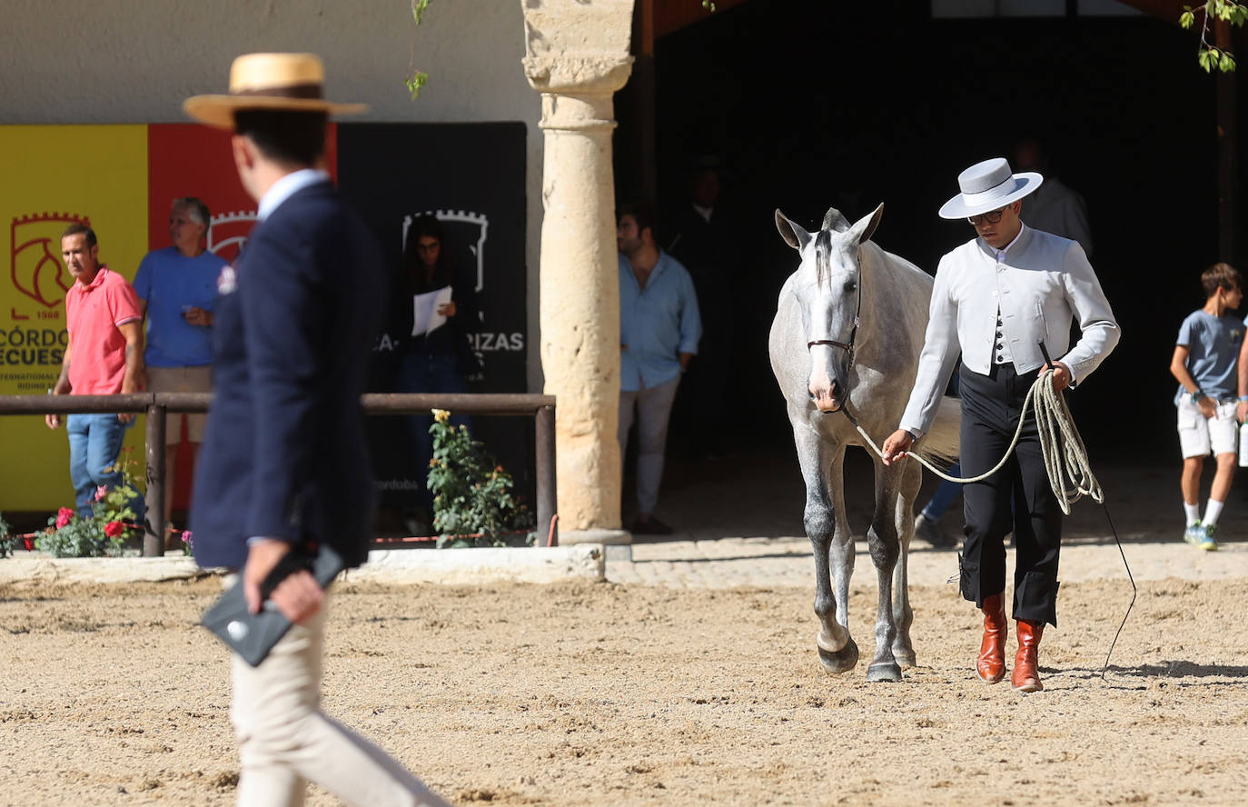 El Concurso Morfológico de caballos &#039;Ciudad de Córdoba&#039;, en imágenes