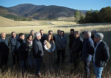 El Gobierno abonará antes de fin de año las ayudas a agricultores y ganaderos afectados por los fuegos
