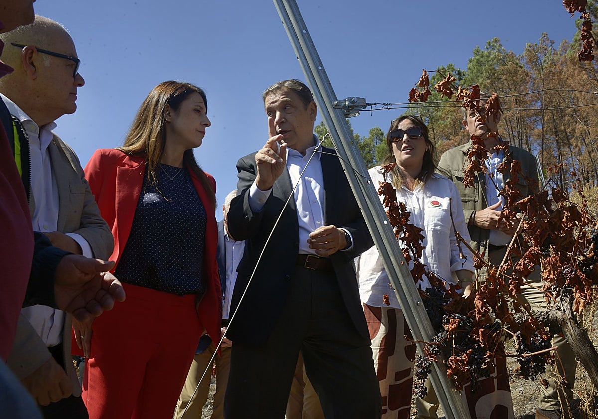 El ministro Luis Planas (centro) durante su visita a una bodega afectada por los incendios en A Rúa, Orense