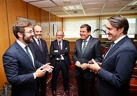 El Ministerio actuará en mil kilómetros de red eléctrica de la Comunidad, 42 subestaciones y 130 'enchufes'