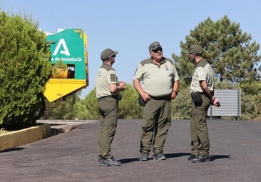 Las huellas del fuego: así trabajan los 'detectives' de los incendios forestales en Córdoba