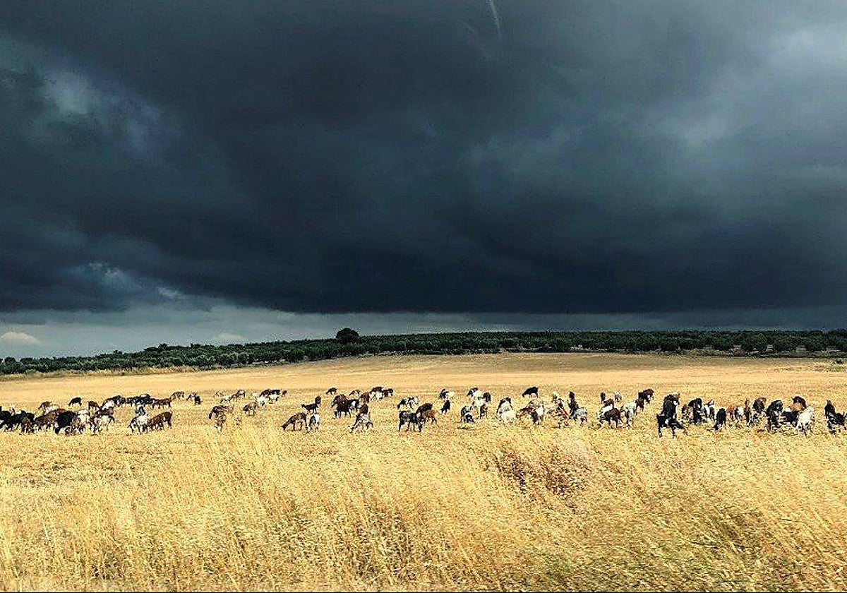 La AEMET ha activado el aviso naranja por fuertes lluvias y tormentas en las provincia de Cuenca y Albacete