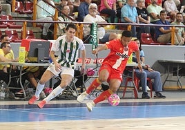 El Córdoba Patrimonio sufre un duro correctivo por parte de Jimbee Cartagena (1-6)