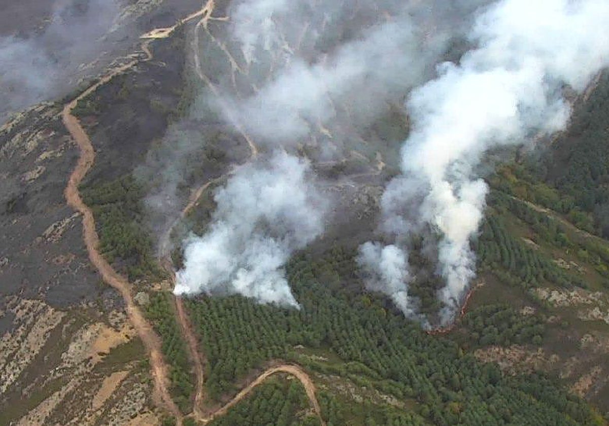 Incendio en Cerezo de Arriba (Segovia) después de su salto a la provincia desde Guadalajara