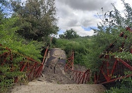 IU denuncia el estado deplorable del circuito de cross de Safont a un mes de la Espada Toledana