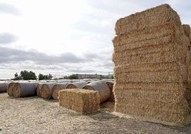 Investigado por robar 80 toneladas de paja en Paredes de Nava (Palencia)