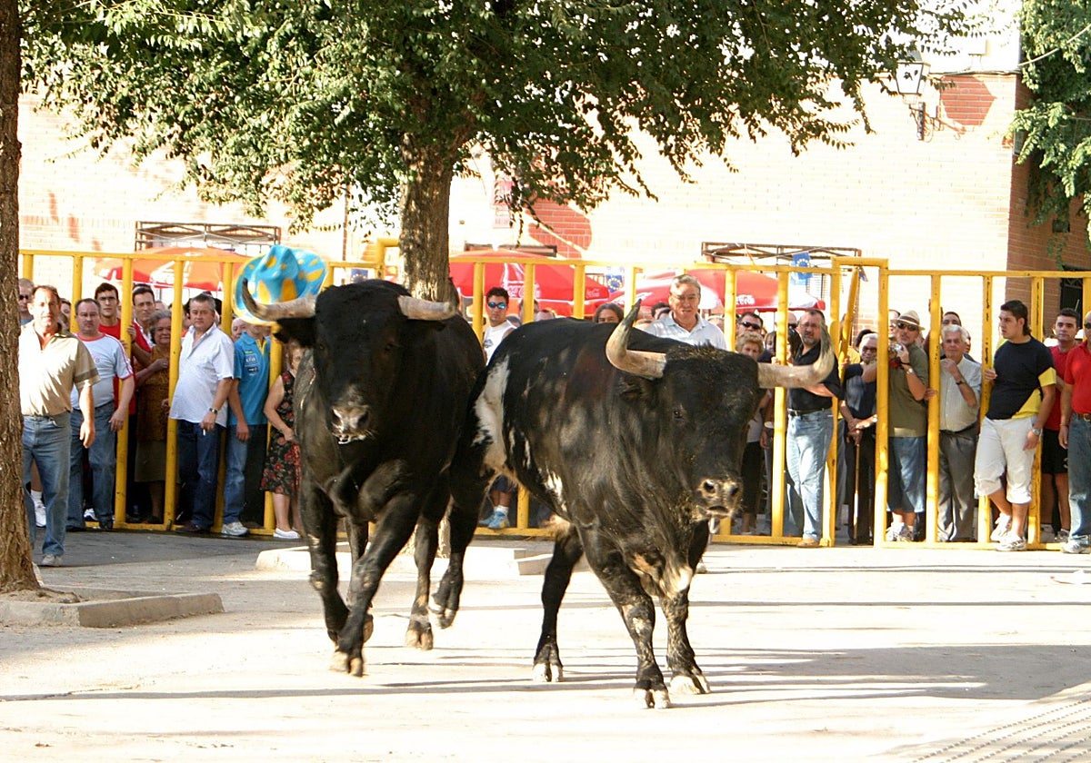 Foto de archivo de un encierro como el que hoy se corre en la localidad sagreña de Pantoja