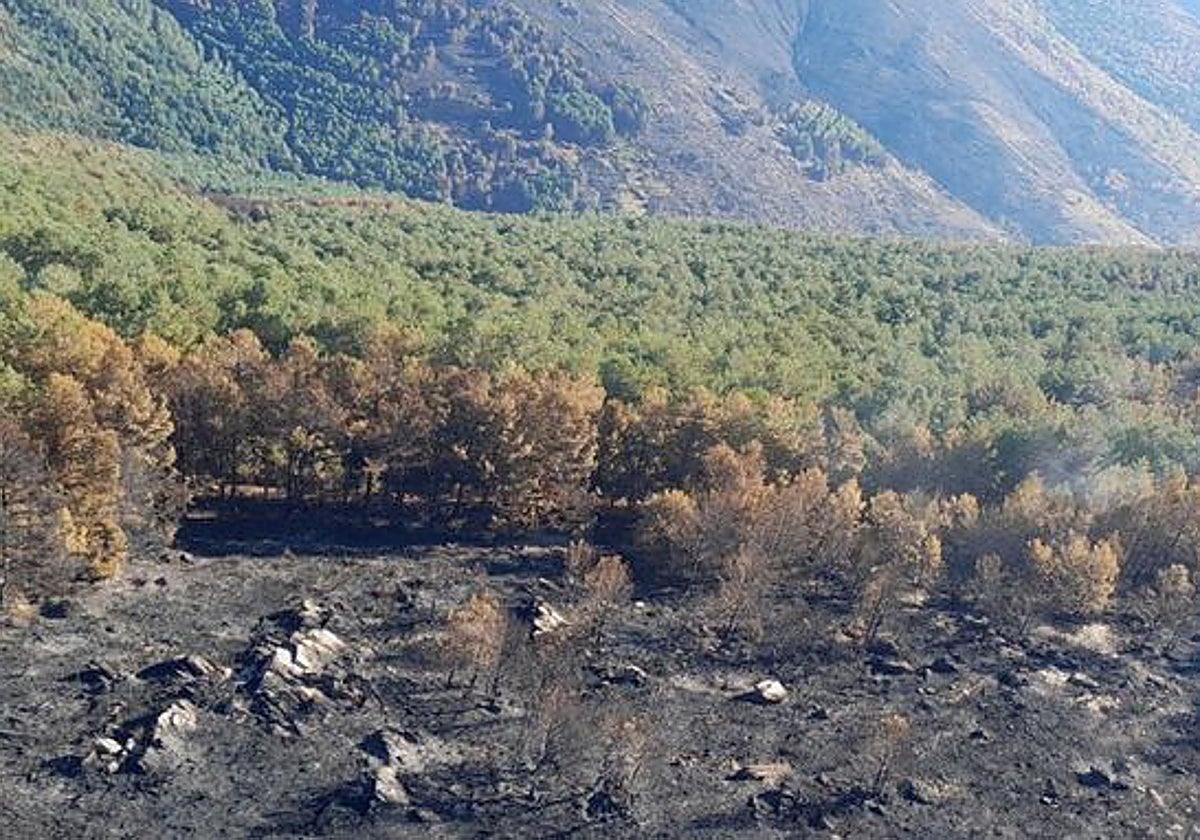 Imagen de Infocam de los estragos del incendio en Pico del Lobo